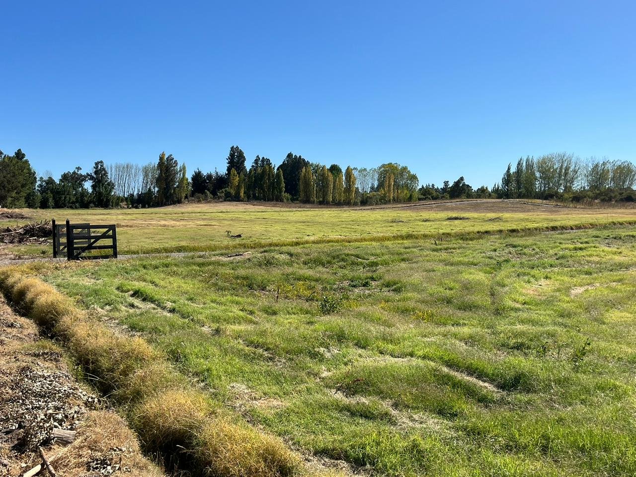 Reserva Rapel